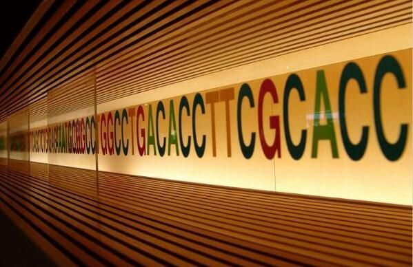 近期全基因组测序研究进展一览