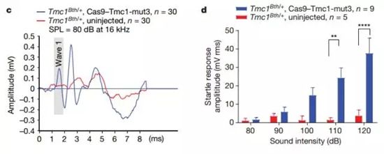 Nature：华人学者联手带来治疗耳聋的基因疗法