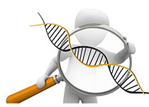 我国科学家刷新基因测序精度