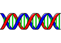 基因组测序业务用上“区块链”