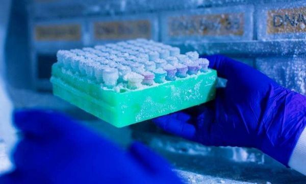 JAMA：科学家发现6个与胰腺癌风险增加相关的基因突变