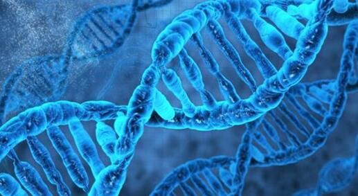 科学家如何通过绘制基因表达图谱来助力人类疾病的研究？
