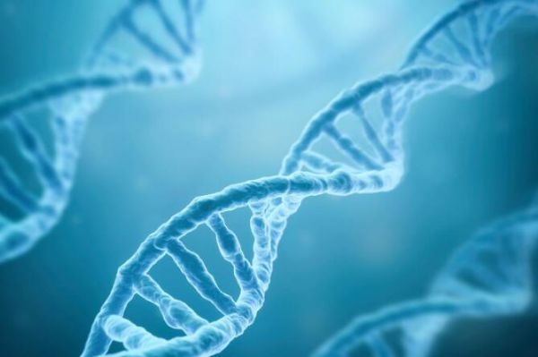 科学家如何通过绘制基因表达图谱来助力人类疾病的研究？