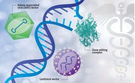 科学家如何利用基因疗法来治疗多种人类疾病？