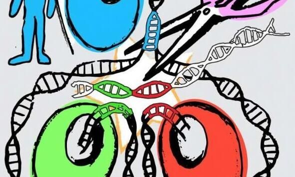 科学家如何利用基因编辑技术来加速人类疾病的研究？