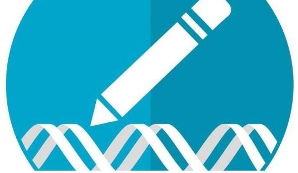 科学家如何利用基因编辑技术来加速人类疾病的研究？