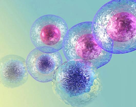 干细胞基因编辑领域最新研究进展