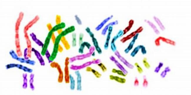 Nat&nbsp;Microbiol：科学家在人类肠道菌群中鉴别出6000多个抗生素耐药基因