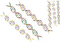 二代基因测序对癌症治疗究竟是奢侈品，还是标配？