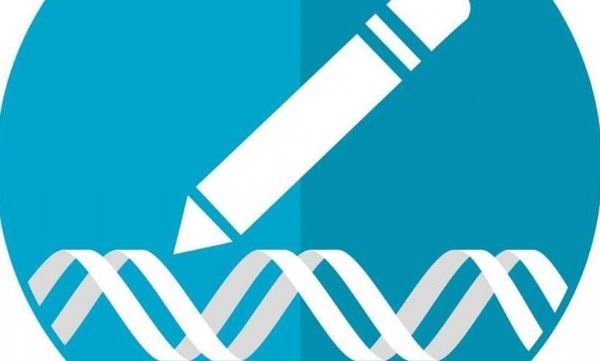 Nat&#160;Biotechnol：新型的基因组编辑策略有望治疗多种人类遗传性疾病