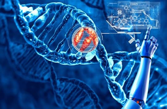 Mol&#160;Cell：科学家揭示参与肿瘤进展的基因调节的新型分子机制
