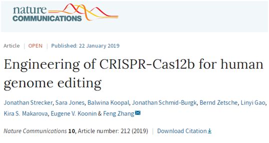 基因编辑大牛张锋新力作！发现第三种CRISPR-Cas系统，显著降低脱靶效应