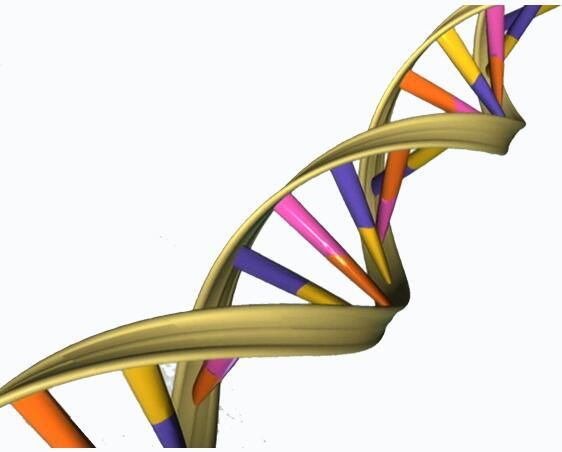 Nat&nbsp;Genet：绘制食管癌风险基因图谱有望帮助寻找新型药物靶点