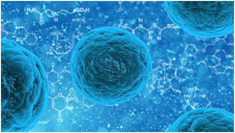 Cell：首次发现阻断CRISPR-Cas9基因组编辑的小分子抑制剂