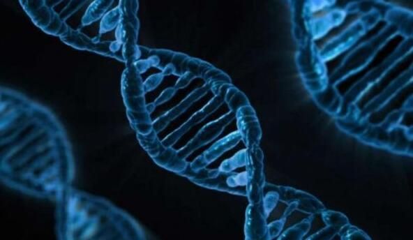 多篇文章解读科学家们如何鉴别出引发疾病的风险基因？