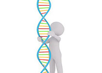 “基因魔剪”新系统无需断链编辑基因