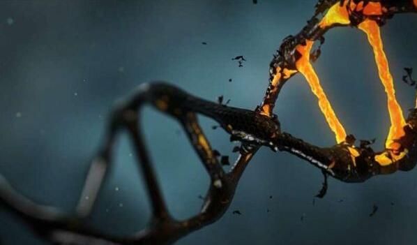 哪些关键基因突变与人类多种疾病发生密切相关？