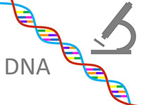 改良CRISPR-Cas9将为耳聋带来精准基因疗法