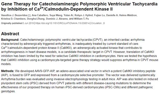 Circulation：利用基因疗法抑制CaMKII，有望治疗CPVT遗传性心律失常