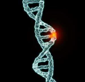 Nat&nbsp;Commun：新发现！鉴别出与女性常见癌症发生相关的基因突变组合