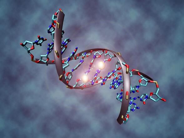 科学家们对人类基因进行编辑的正确方法是什么？以下这5条必读！
