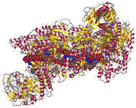 PNAS：构建出提高CRISPR-Cas9基因编辑精确度的新变体---SaCas9-HF