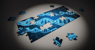 Nature：新一代CRISPR基因编辑技术诞生，或为人体细胞提供多种功能