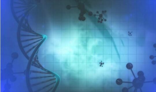 Nat&nbsp;Genet：科学家成功解析保护机体抵御2型糖尿病的关键基因功能
