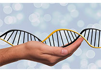 研究人员开发高质量基因组组装软件